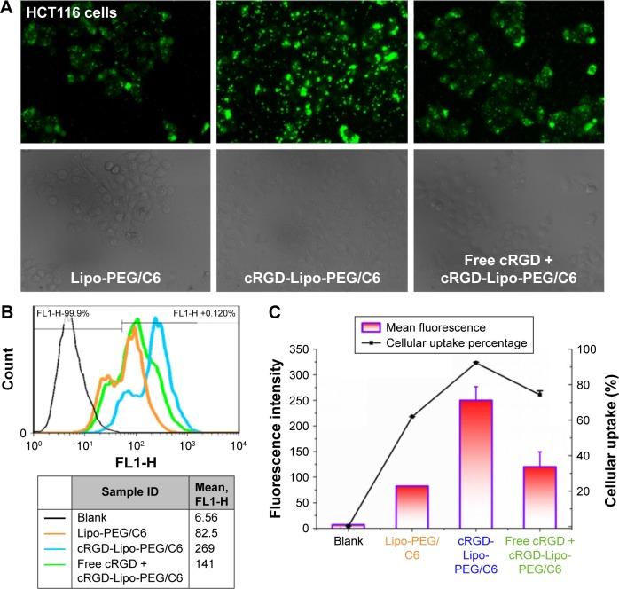 https://cdn.ncbi.nlm.nih.gov/pmc/blobs/7dae/5354530/8c93d5ebc2e8/ijn-12-1941Fig6.jpg