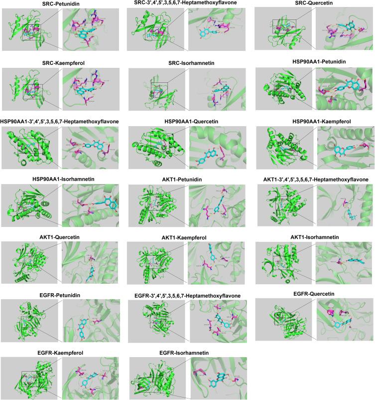 https://cdn.ncbi.nlm.nih.gov/pmc/blobs/7db0/10860608/b486d71aae25/DDDT-18-375-g0008.jpg