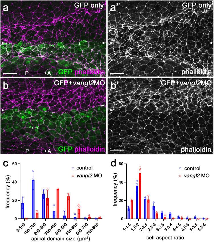 https://cdn.ncbi.nlm.nih.gov/pmc/blobs/7db3/10733383/c65b4206e0e2/41467_2023_43973_Fig2_HTML.jpg