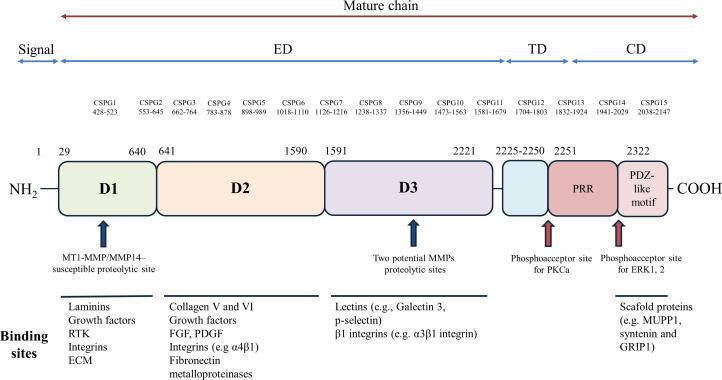 https://cdn.ncbi.nlm.nih.gov/pmc/blobs/7db3/11317297/559a192332c1/fimmu-15-1393842-g001.jpg