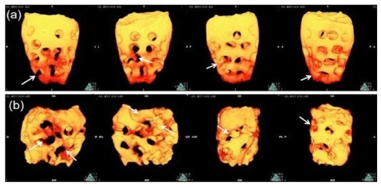 https://cdn.ncbi.nlm.nih.gov/pmc/blobs/7db3/7796471/066f91ccc1b4/materials-14-00223-g004.jpg