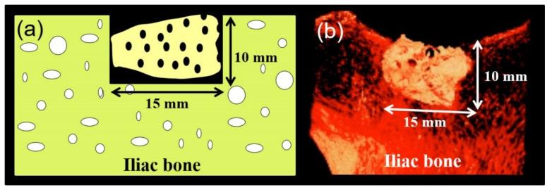 https://cdn.ncbi.nlm.nih.gov/pmc/blobs/7db3/7796471/f189e5ceb434/materials-14-00223-g002.jpg