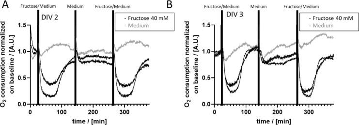 https://cdn.ncbi.nlm.nih.gov/pmc/blobs/7db3/8822303/64be7f1290e5/EXCLI-21-144-g-004.jpg