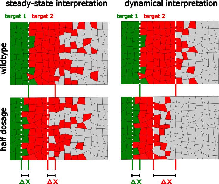 https://cdn.ncbi.nlm.nih.gov/pmc/blobs/7db6/11651649/06fac70f5fae/elife-85755-fig5.jpg