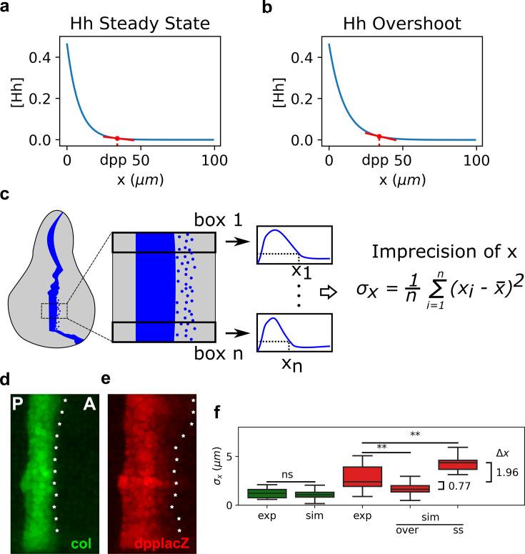 https://cdn.ncbi.nlm.nih.gov/pmc/blobs/7db6/11651649/851e60fc9020/elife-85755-fig4.jpg