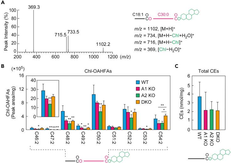 https://cdn.ncbi.nlm.nih.gov/pmc/blobs/7db8/8169949/5842c01e9816/gr8.jpg