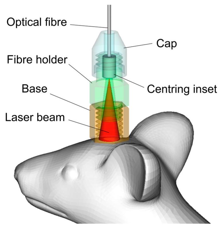 https://cdn.ncbi.nlm.nih.gov/pmc/blobs/7db9/9966329/86454a5d3180/pharmaceutics-15-00567-g001.jpg
