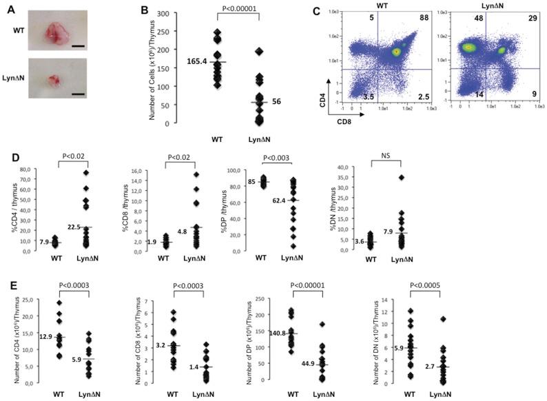 https://cdn.ncbi.nlm.nih.gov/pmc/blobs/7dbe/3469485/ec869e7a31f4/pone.0047321.g001.jpg