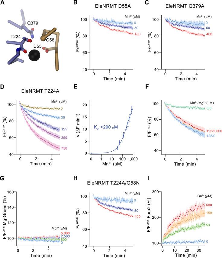 https://cdn.ncbi.nlm.nih.gov/pmc/blobs/7dc1/8806188/81932fae2cfd/elife-74589-fig8.jpg