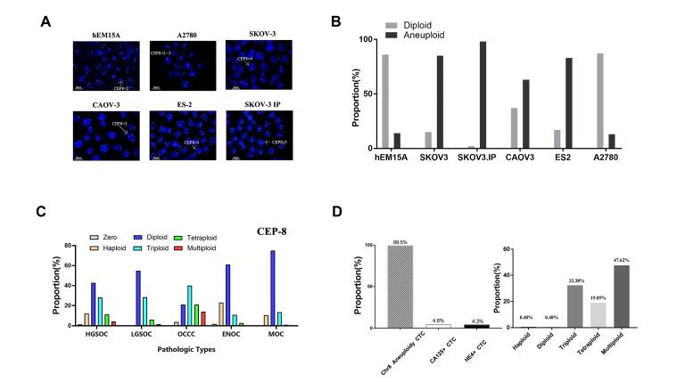 https://cdn.ncbi.nlm.nih.gov/pmc/blobs/7dc2/11084440/d6a41b7c4f7e/ijms-25-04825-g002.jpg
