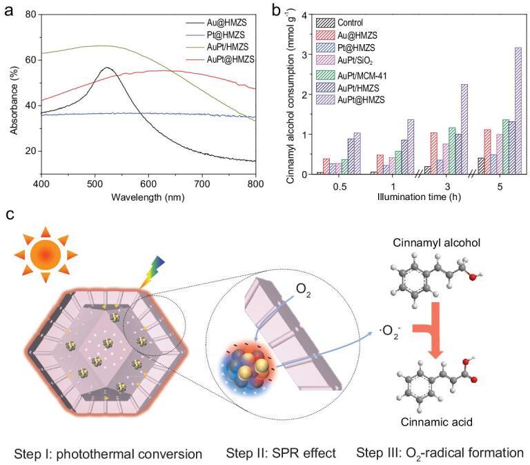 https://cdn.ncbi.nlm.nih.gov/pmc/blobs/7dc2/8288811/b880c42677c1/nwaa080fig4.jpg