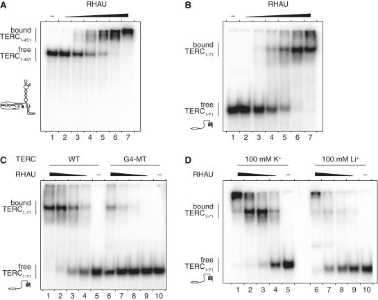 https://cdn.ncbi.nlm.nih.gov/pmc/blobs/7dc3/3241650/514e3869af21/gkr630f4.jpg