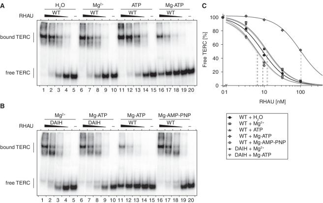 https://cdn.ncbi.nlm.nih.gov/pmc/blobs/7dc3/3241650/760b57aaed33/gkr630f7.jpg
