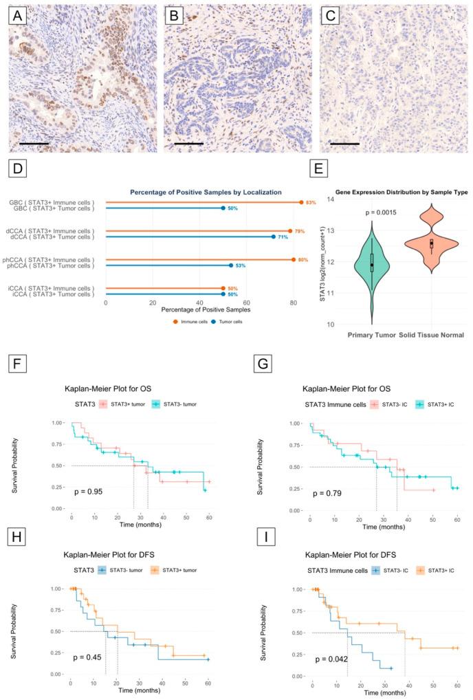 https://cdn.ncbi.nlm.nih.gov/pmc/blobs/7dc5/12108797/b1404ae64ccc/biomedicines-13-01083-g004.jpg
