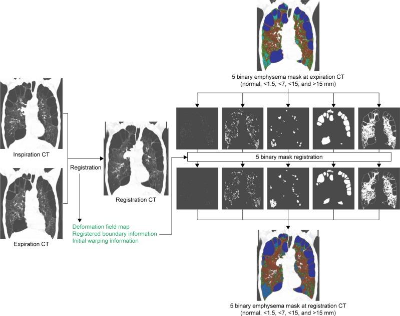 https://cdn.ncbi.nlm.nih.gov/pmc/blobs/7dc6/5516780/e577e58723fb/copd-12-2043Fig3.jpg