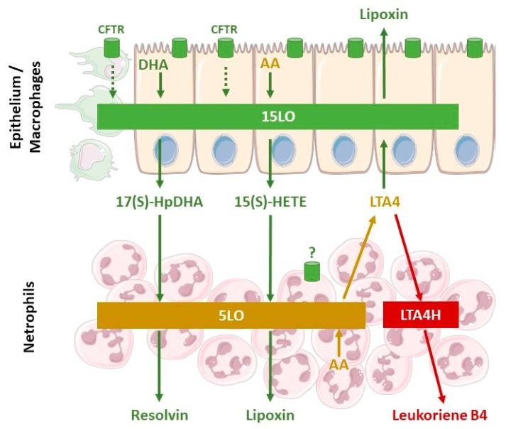 https://cdn.ncbi.nlm.nih.gov/pmc/blobs/7dc6/6213393/5775998ec045/ijms-19-02865-g002.jpg