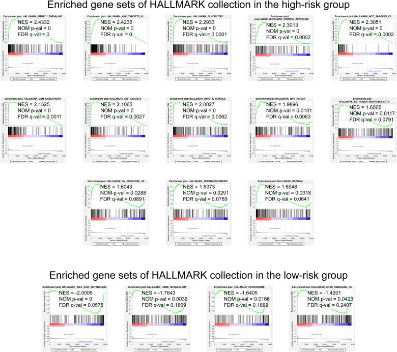 https://cdn.ncbi.nlm.nih.gov/pmc/blobs/7dc6/9606711/0266dd1dedc7/fsurg-09-1015263-g005.jpg