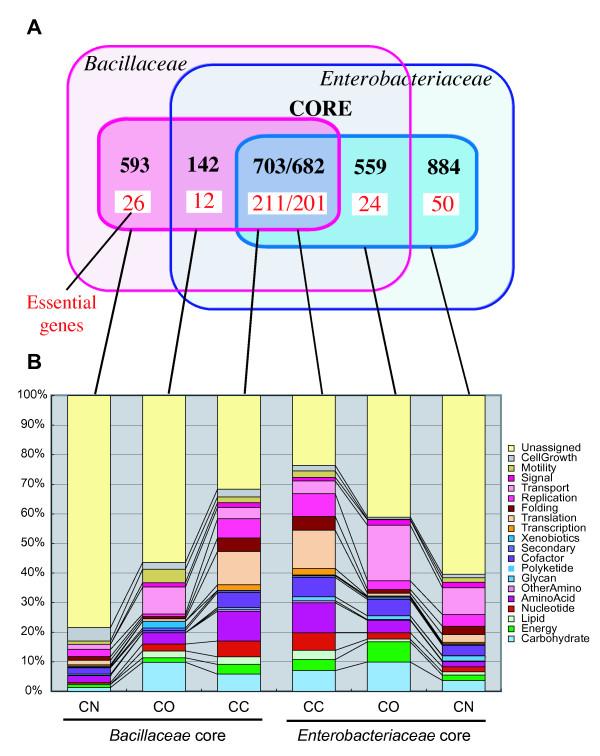 https://cdn.ncbi.nlm.nih.gov/pmc/blobs/7dc7/2615449/3dfc9ab604bc/1471-2164-9-515-5.jpg