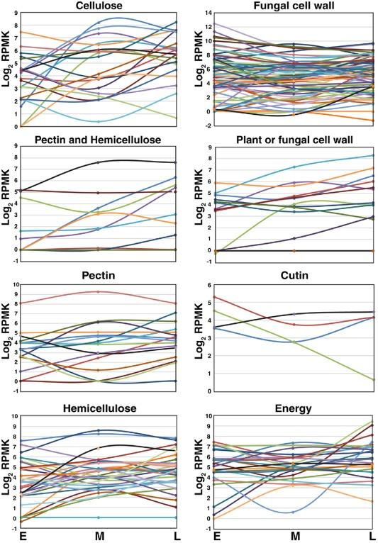 https://cdn.ncbi.nlm.nih.gov/pmc/blobs/7dc7/6638405/9844379541b3/MPP-17-210-g005.jpg