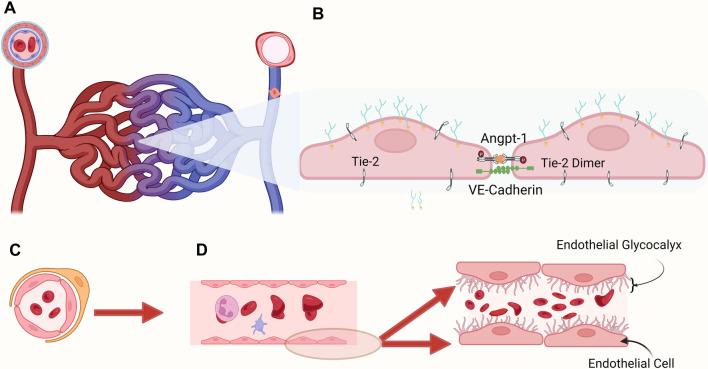 https://cdn.ncbi.nlm.nih.gov/pmc/blobs/7dc9/10576530/6f6473da9a36/fped-11-1123405-g001.jpg