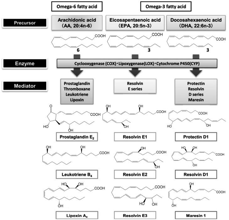 https://cdn.ncbi.nlm.nih.gov/pmc/blobs/7dc9/6631965/66c03bc1b0a4/medicina-55-00284-g001.jpg