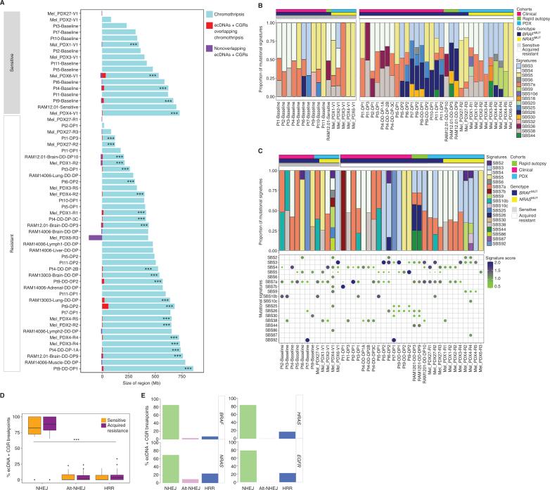 https://cdn.ncbi.nlm.nih.gov/pmc/blobs/7dcc/10068459/5e4441a1a06d/880fig3.jpg