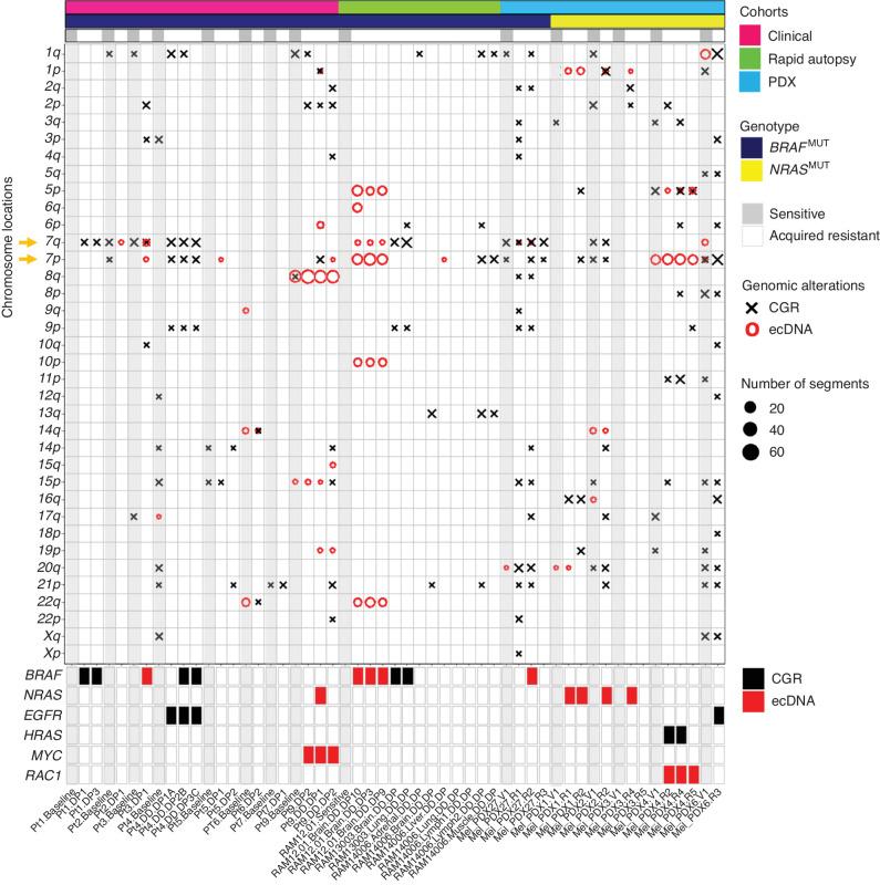 https://cdn.ncbi.nlm.nih.gov/pmc/blobs/7dcc/10068459/a044f4100bff/880fig1.jpg