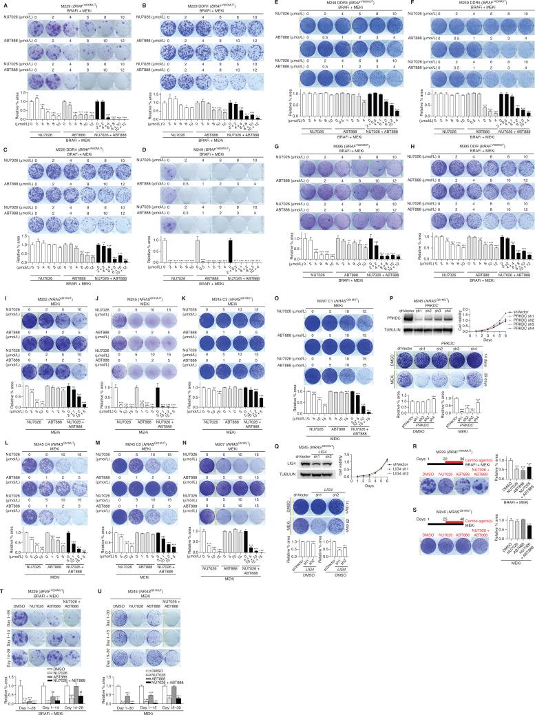 https://cdn.ncbi.nlm.nih.gov/pmc/blobs/7dcc/10068459/fa59d260c35c/880fig4.jpg