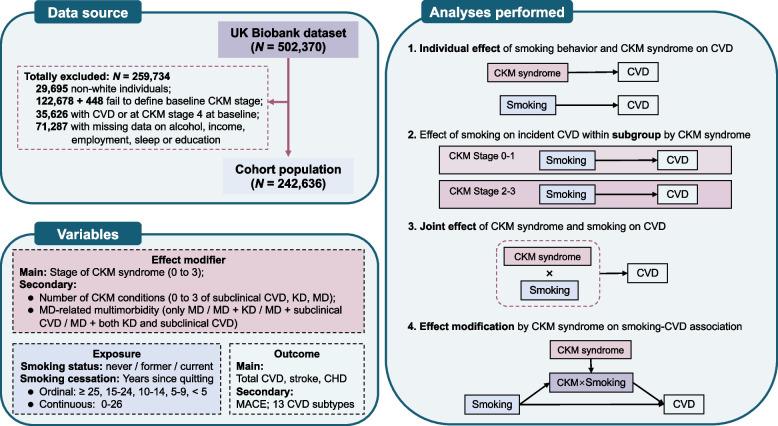 https://cdn.ncbi.nlm.nih.gov/pmc/blobs/7dcd/12044822/7aa73480b685/12889_2025_22865_Fig1_HTML.jpg