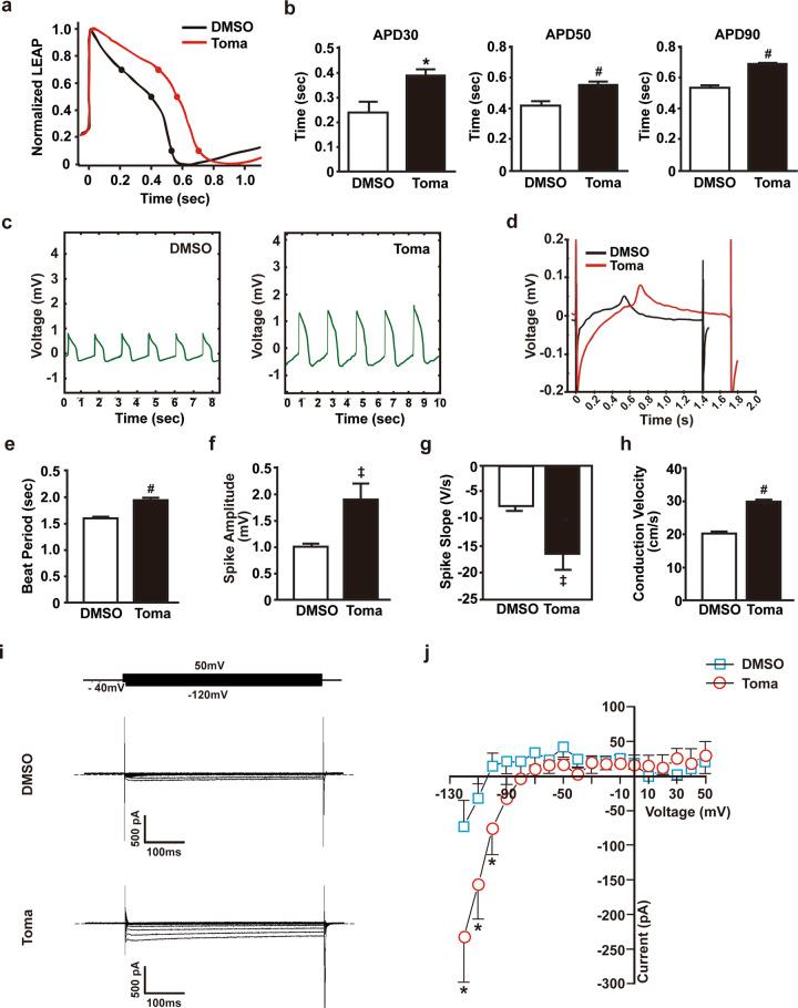 https://cdn.ncbi.nlm.nih.gov/pmc/blobs/7dcd/9076832/1d00e48e2a9e/12276_2022_746_Fig5_HTML.jpg