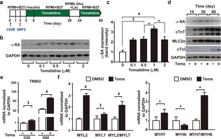 https://cdn.ncbi.nlm.nih.gov/pmc/blobs/7dcd/9076832/215b2384caec/12276_2022_746_Fig1_HTML.jpg