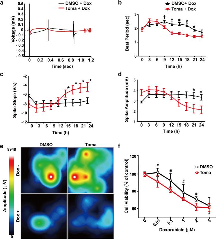 https://cdn.ncbi.nlm.nih.gov/pmc/blobs/7dcd/9076832/412dd0242d76/12276_2022_746_Fig6_HTML.jpg