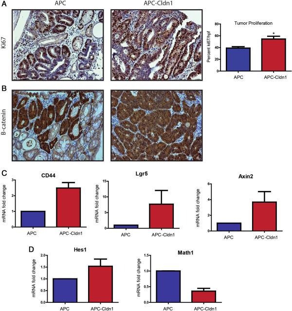 https://cdn.ncbi.nlm.nih.gov/pmc/blobs/7dcf/4105545/d15c537336f5/1476-4598-13-167-3.jpg