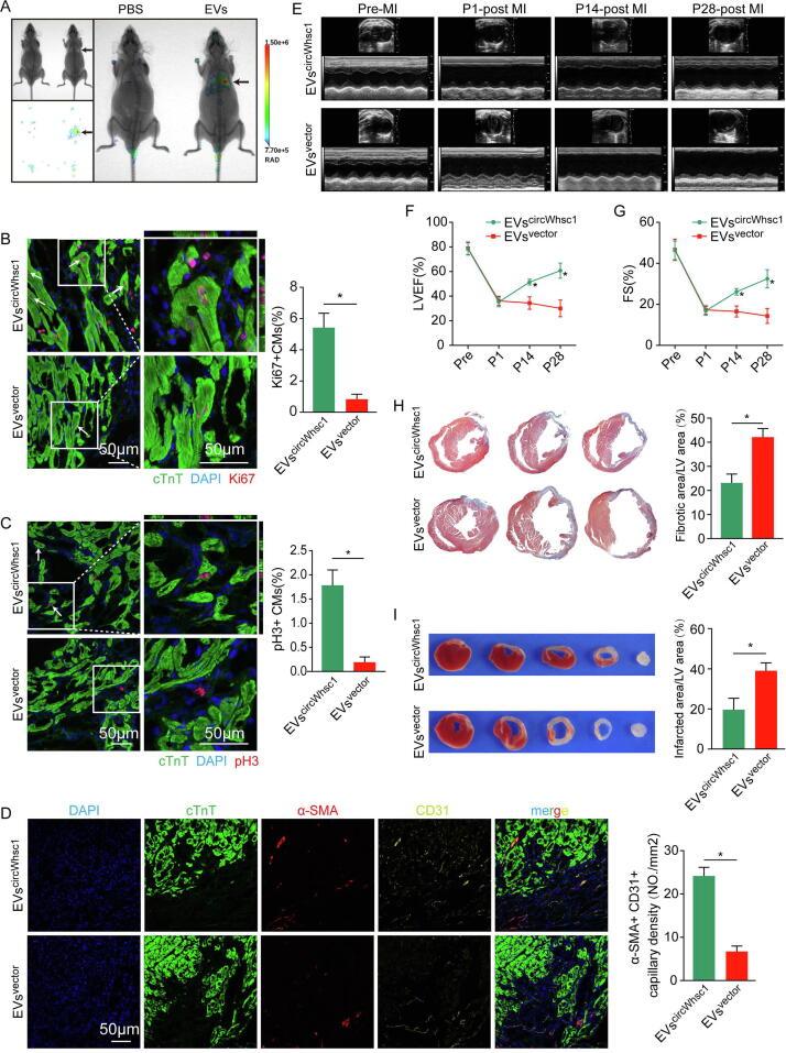 https://cdn.ncbi.nlm.nih.gov/pmc/blobs/7dd0/10658329/2332dd404e4f/gr7.jpg