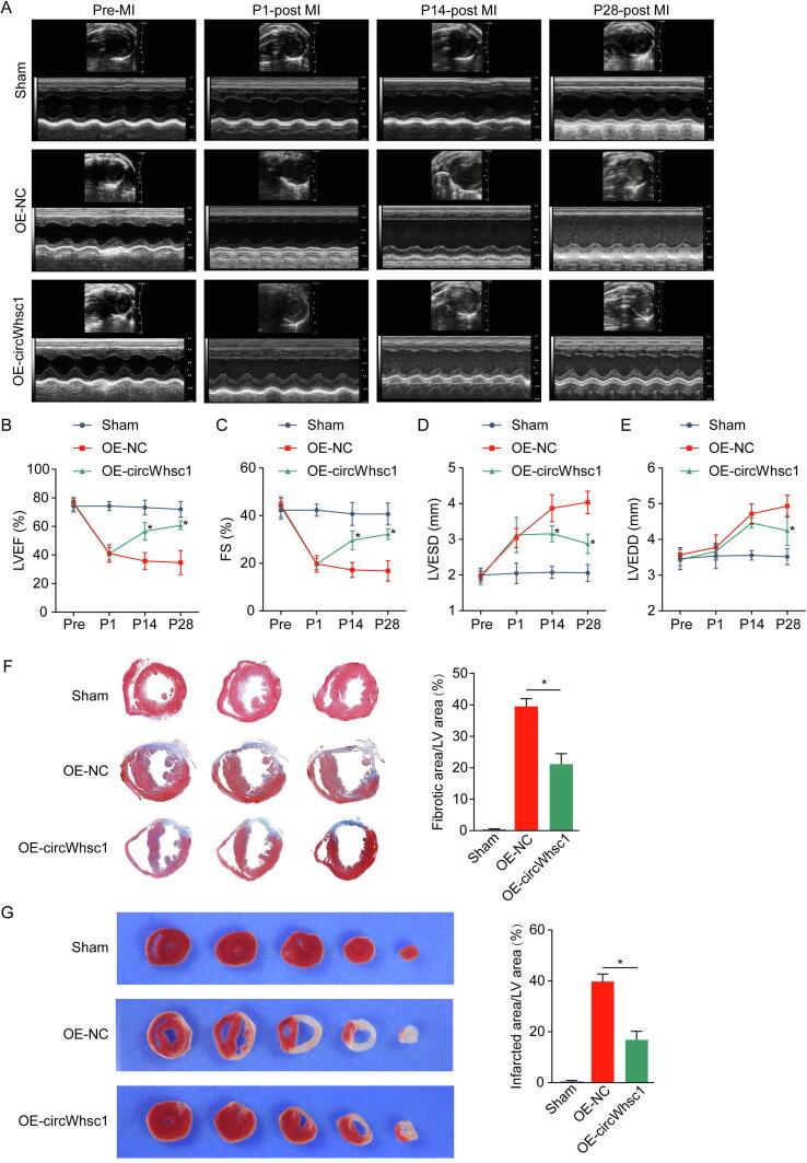 https://cdn.ncbi.nlm.nih.gov/pmc/blobs/7dd0/10658329/4c86e802e0c8/gr4.jpg