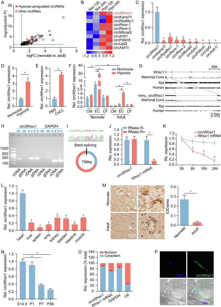 https://cdn.ncbi.nlm.nih.gov/pmc/blobs/7dd0/10658329/63c2d3668c59/gr1.jpg