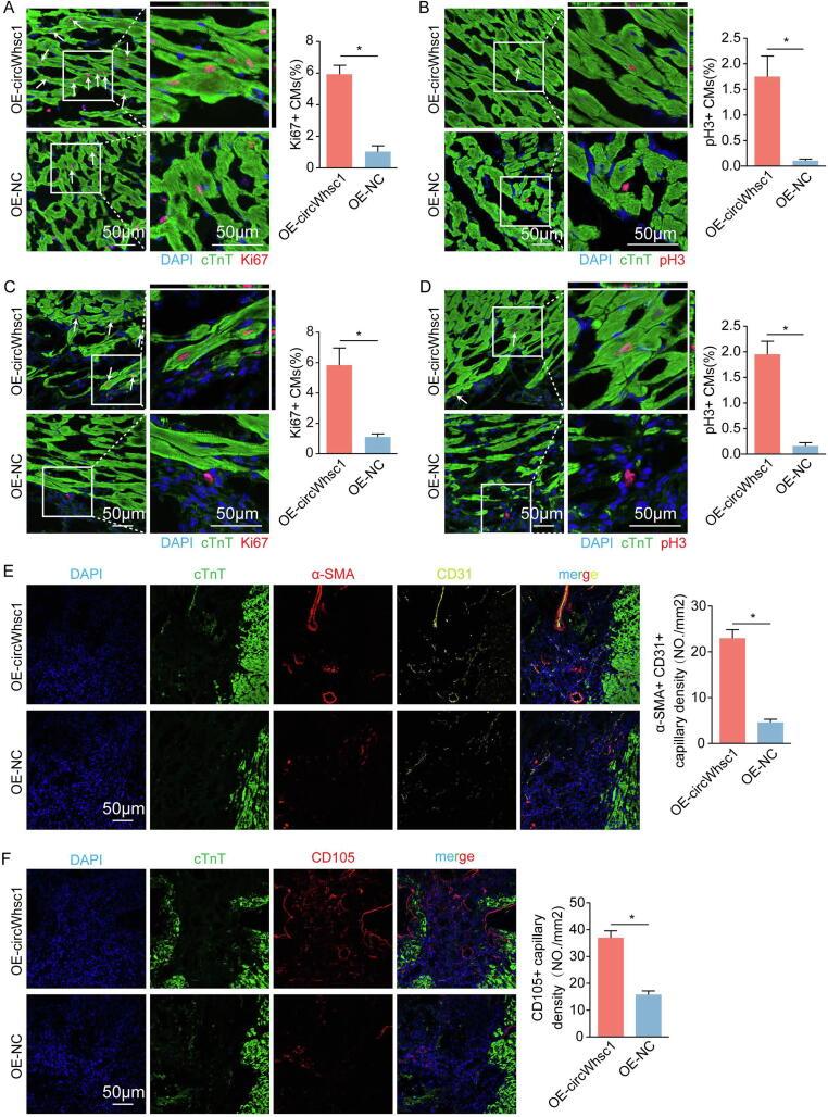 https://cdn.ncbi.nlm.nih.gov/pmc/blobs/7dd0/10658329/ae2076a0d2fc/gr3.jpg