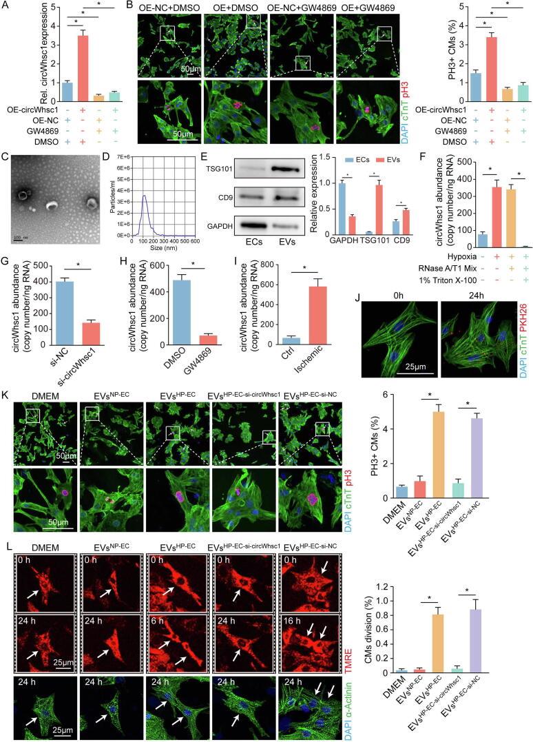 https://cdn.ncbi.nlm.nih.gov/pmc/blobs/7dd0/10658329/f723282a5874/gr6.jpg