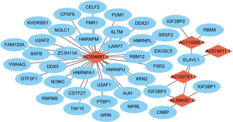 https://cdn.ncbi.nlm.nih.gov/pmc/blobs/7dd3/11549862/1dd573d29d54/12885_2024_13144_Fig7_HTML.jpg