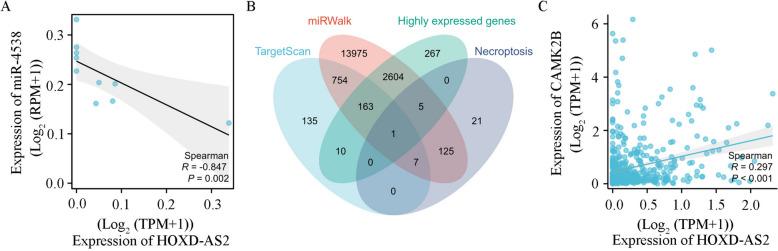 https://cdn.ncbi.nlm.nih.gov/pmc/blobs/7dd3/11549862/5b17fd5b4aec/12885_2024_13144_Fig12_HTML.jpg