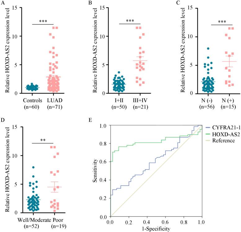 https://cdn.ncbi.nlm.nih.gov/pmc/blobs/7dd3/11549862/cdb063896498/12885_2024_13144_Fig11_HTML.jpg