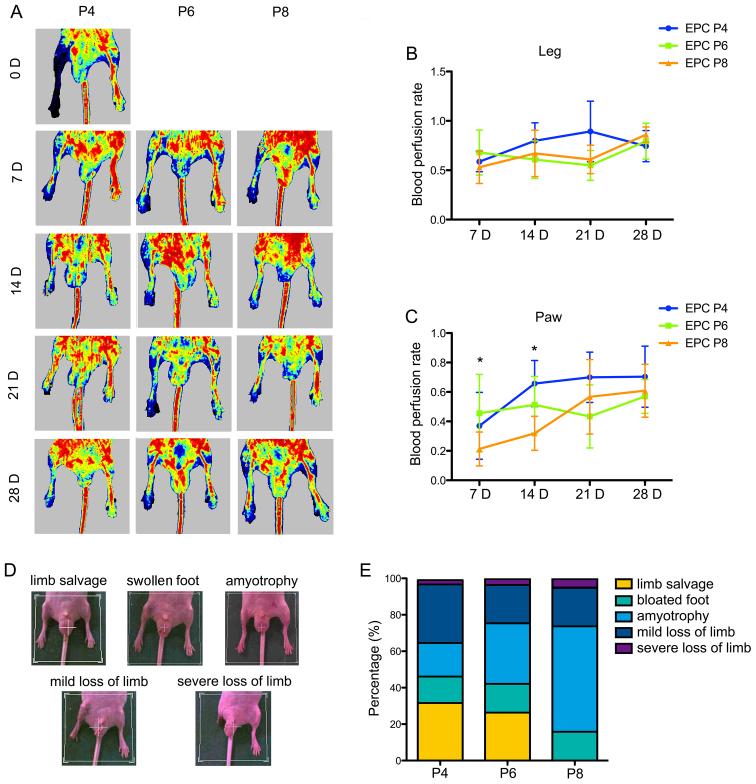 https://cdn.ncbi.nlm.nih.gov/pmc/blobs/7dd3/5428960/0aefaa160672/IJMM-39-06-1492-g03.jpg