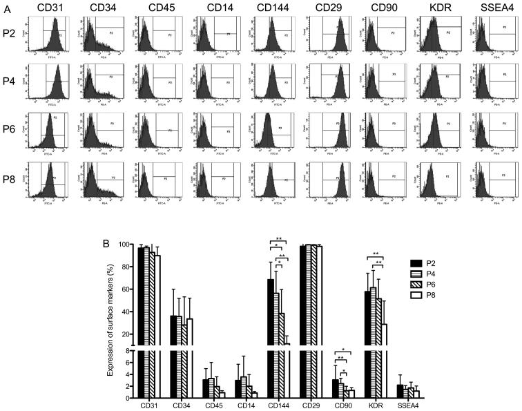 https://cdn.ncbi.nlm.nih.gov/pmc/blobs/7dd3/5428960/4a57205bbea9/IJMM-39-06-1492-g01.jpg