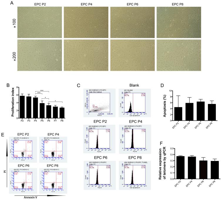 https://cdn.ncbi.nlm.nih.gov/pmc/blobs/7dd3/5428960/ffe073901858/IJMM-39-06-1492-g00.jpg