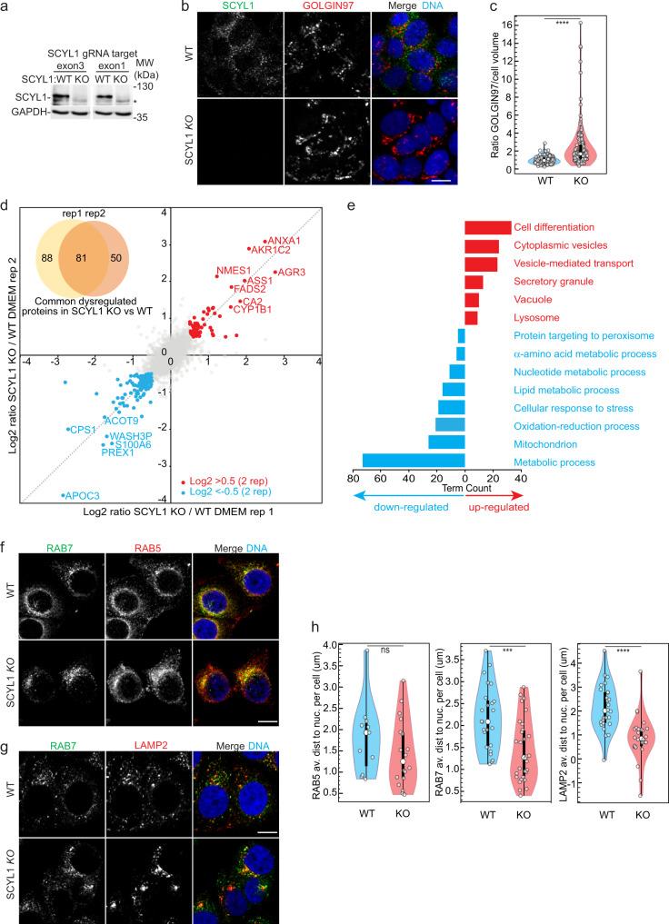 https://cdn.ncbi.nlm.nih.gov/pmc/blobs/7dd3/9365812/0d5a42bc61ef/41467_2022_32487_Fig2_HTML.jpg