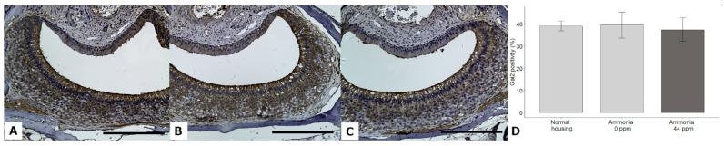 https://cdn.ncbi.nlm.nih.gov/pmc/blobs/7dd6/10294897/0d37ef717901/animals-13-01902-g010.jpg