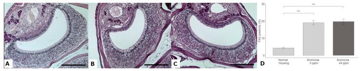 https://cdn.ncbi.nlm.nih.gov/pmc/blobs/7dd6/10294897/5c3ec6e12f71/animals-13-01902-g008.jpg
