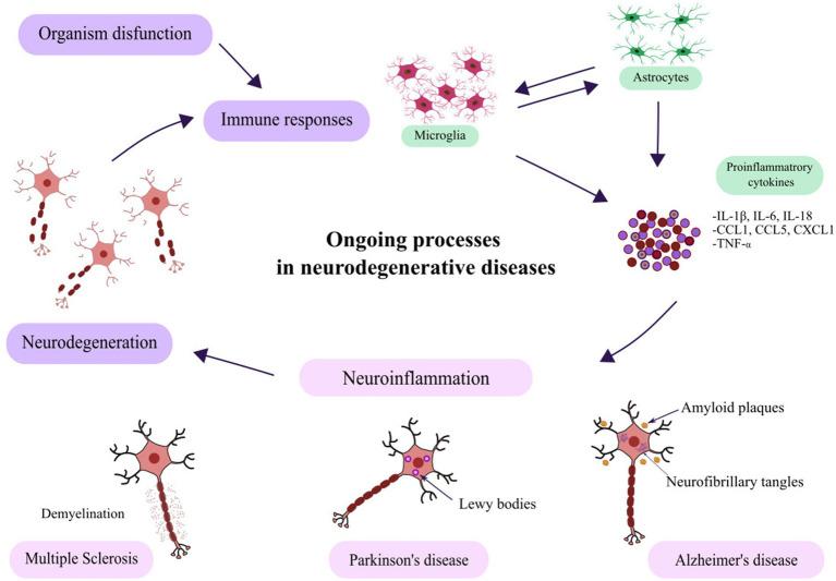 https://cdn.ncbi.nlm.nih.gov/pmc/blobs/7dd7/12069400/84c531fbc1f1/fnins-19-1579511-g002.jpg