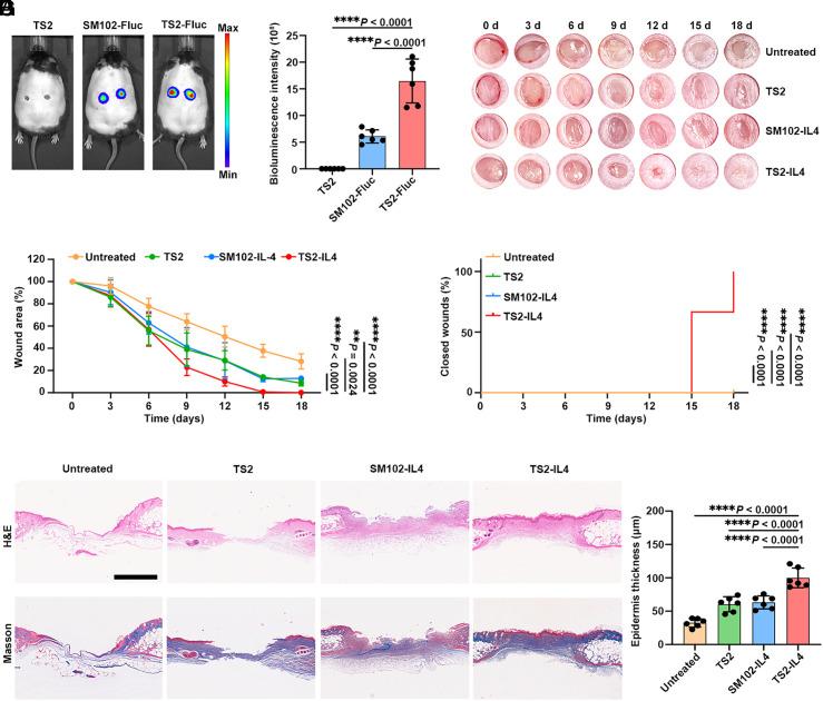https://cdn.ncbi.nlm.nih.gov/pmc/blobs/7dd9/11145207/01f4a997ef22/pnas.2322935121fig06.jpg