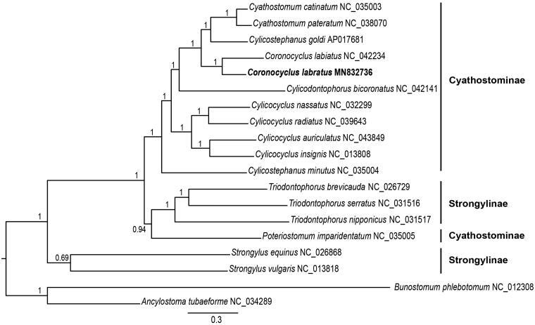 https://cdn.ncbi.nlm.nih.gov/pmc/blobs/7ddd/7748770/af67003c16e9/TMDN_A_1721361_F0001_B.jpg